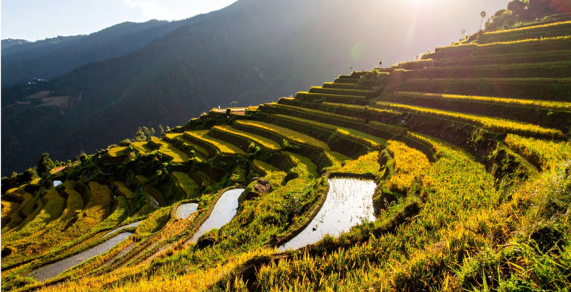 Vietnam Rice Terraces